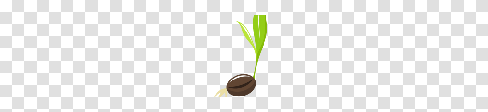 Seed Clipart, Plant, Leaf, Sprout, Produce Transparent Png