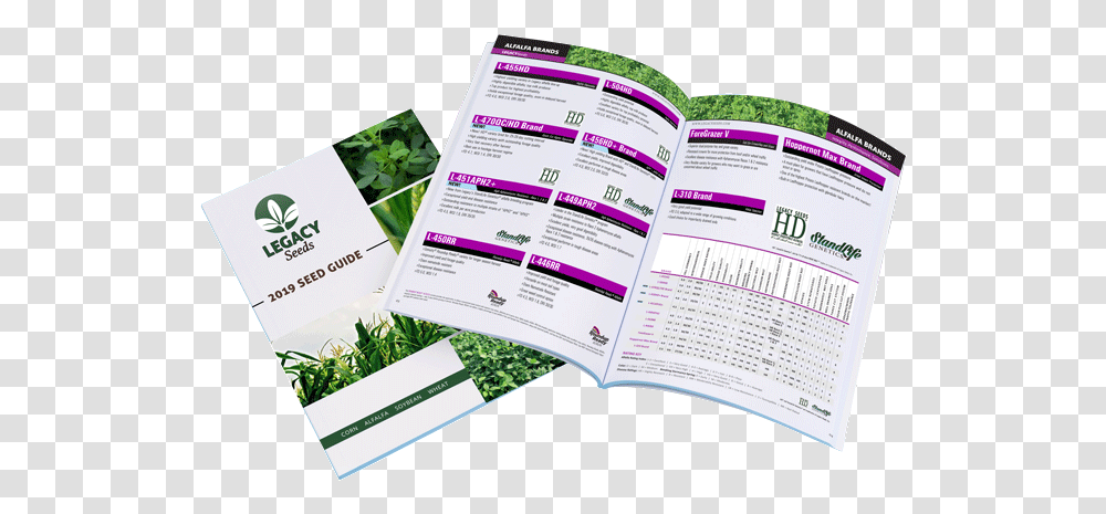 Seed Guide Brochure, Flyer, Poster, Paper, Advertisement Transparent Png