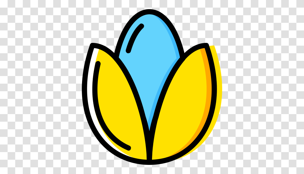Seed Icon, Sweets, Food, Confectionery Transparent Png