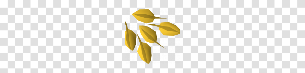 Seed, Leaf, Plant, Flower, Blossom Transparent Png