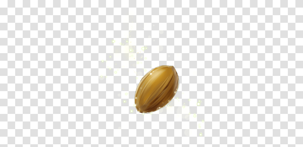 Seed Picture Seed, Plant, Food, Vegetable, Nut Transparent Png