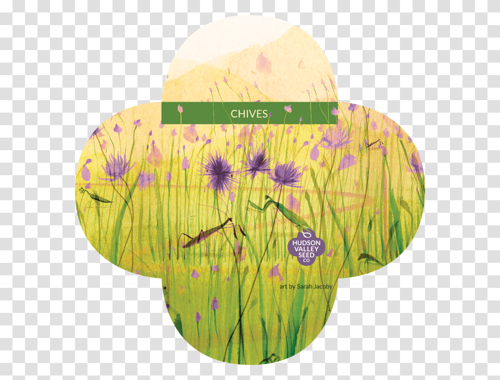 Seed, Plant, Balloon, Land, Outdoors Transparent Png