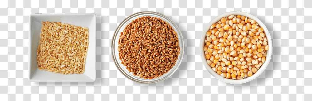 Seed, Plant, Vegetable, Food, Wheat Transparent Png