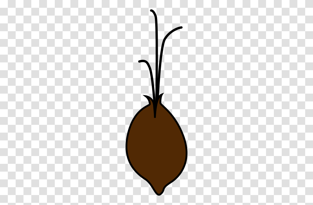 Seed Sprouting Clip Art, Plant, Tree, Moon, Outdoors Transparent Png