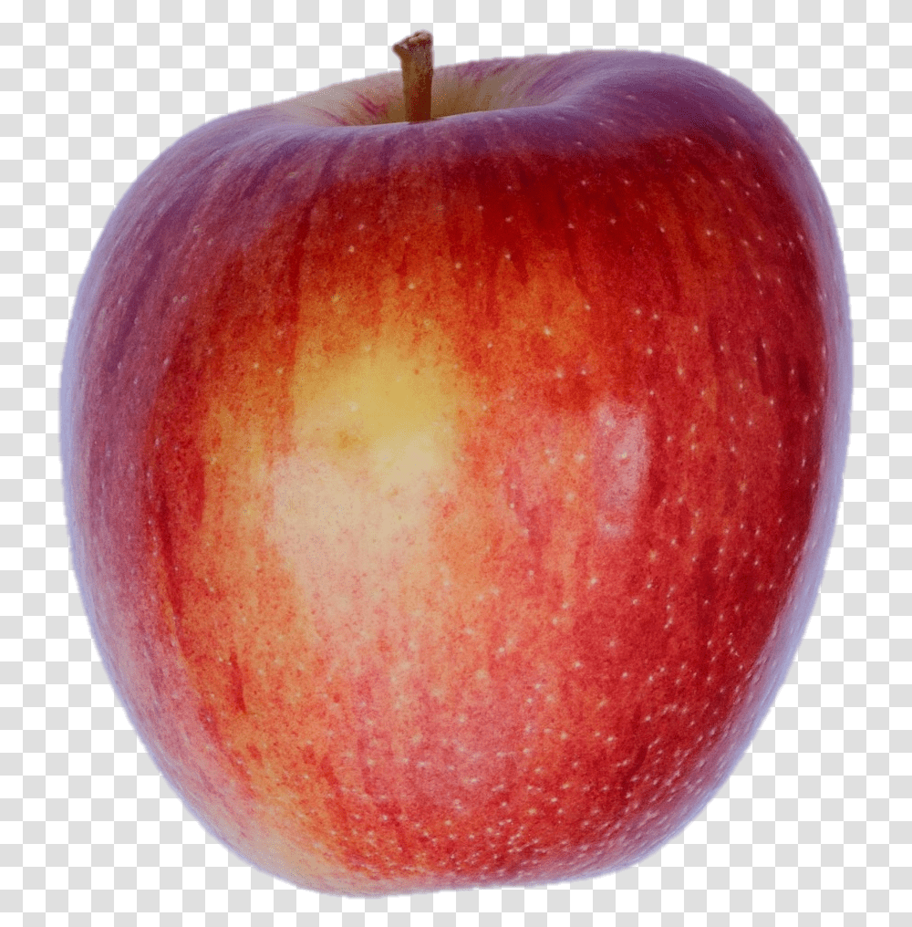 Seedless Fruit, Apple, Plant, Food Transparent Png