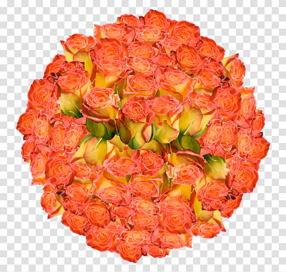 Seedless Fruit, Plant, Flower, Blossom, Icing Transparent Png