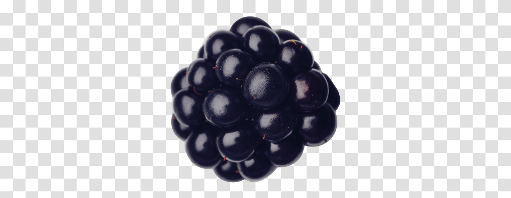 Seedless Fruit, Plant, Food, Grapes, Blueberry Transparent Png
