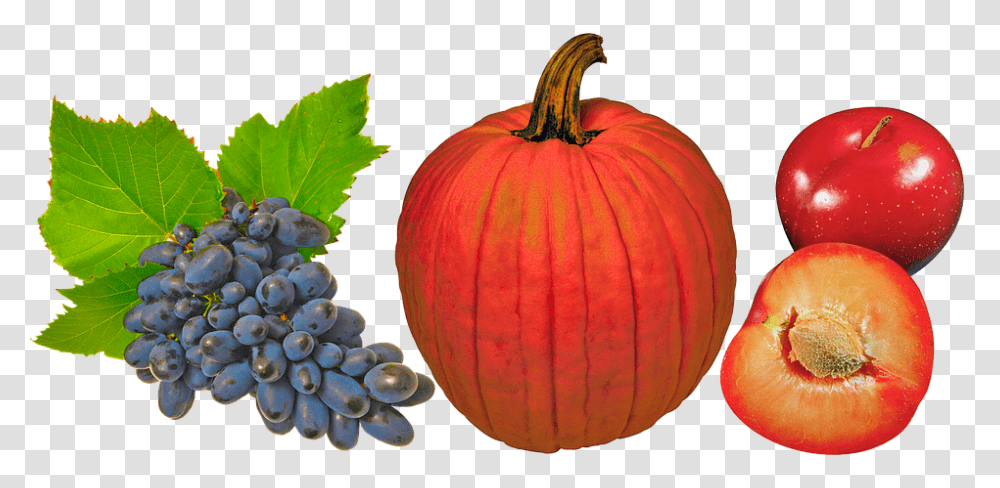 Seedless Fruit, Plant, Food, Pumpkin, Vegetable Transparent Png