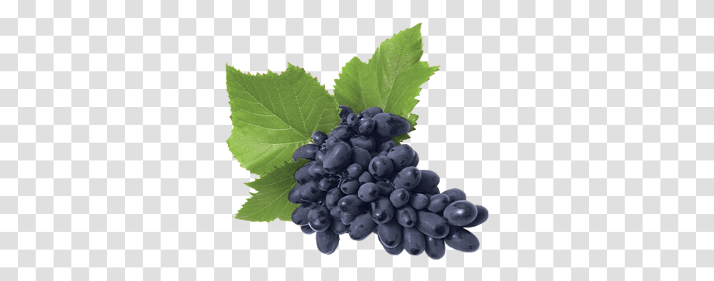Seedless Fruit, Plant, Grapes, Food, Blueberry Transparent Png