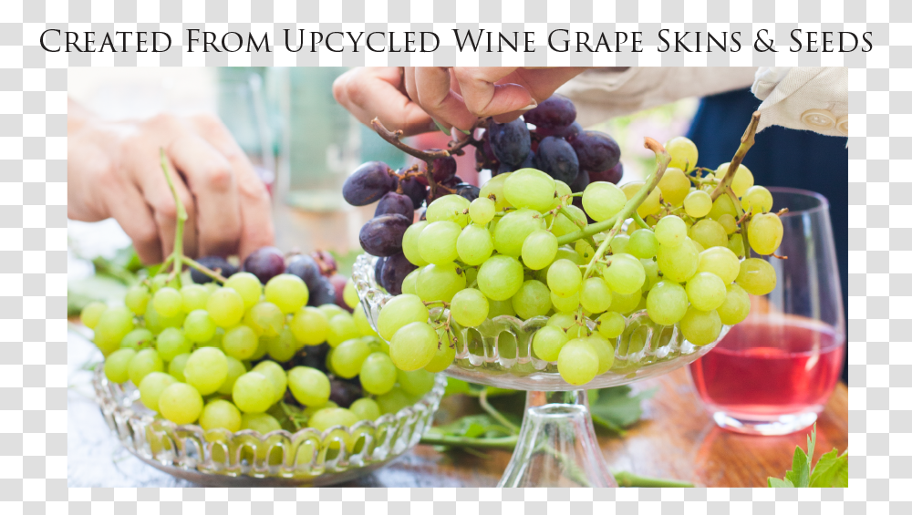 Seedless Fruit, Plant, Grapes, Food, Person Transparent Png
