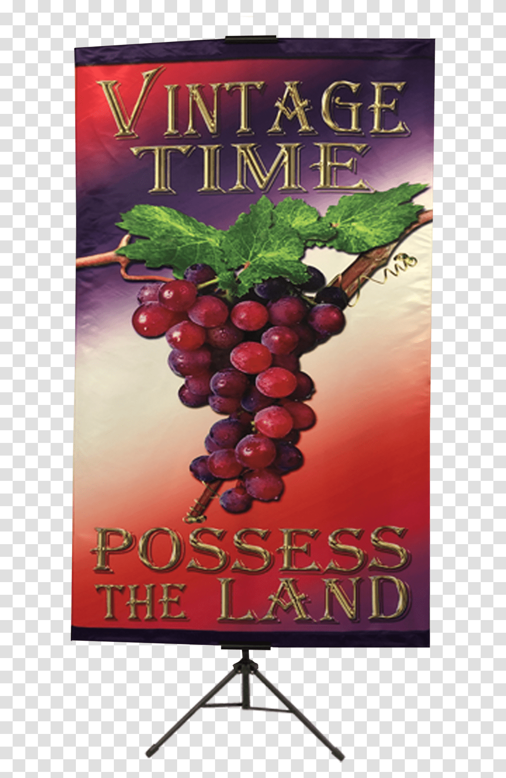 Seedless Fruit, Plant, Grapes, Food, Poster Transparent Png