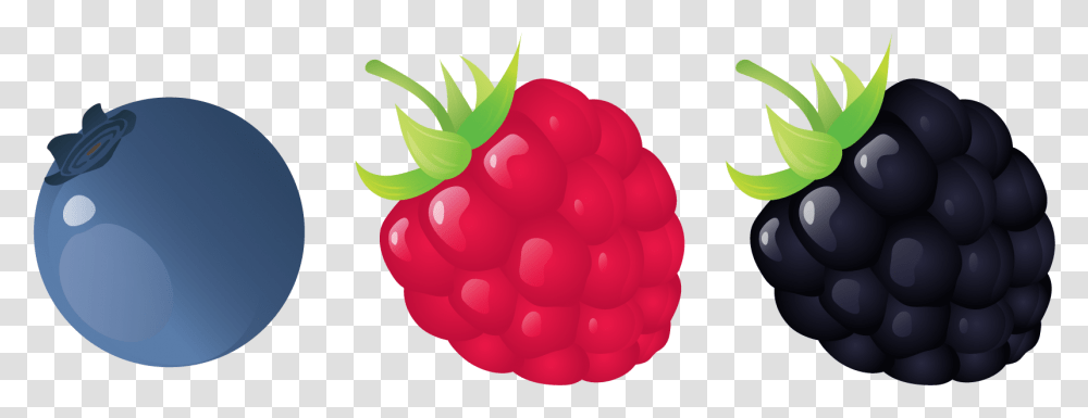 Seedless Fruit, Raspberry, Plant, Food, Strawberry Transparent Png