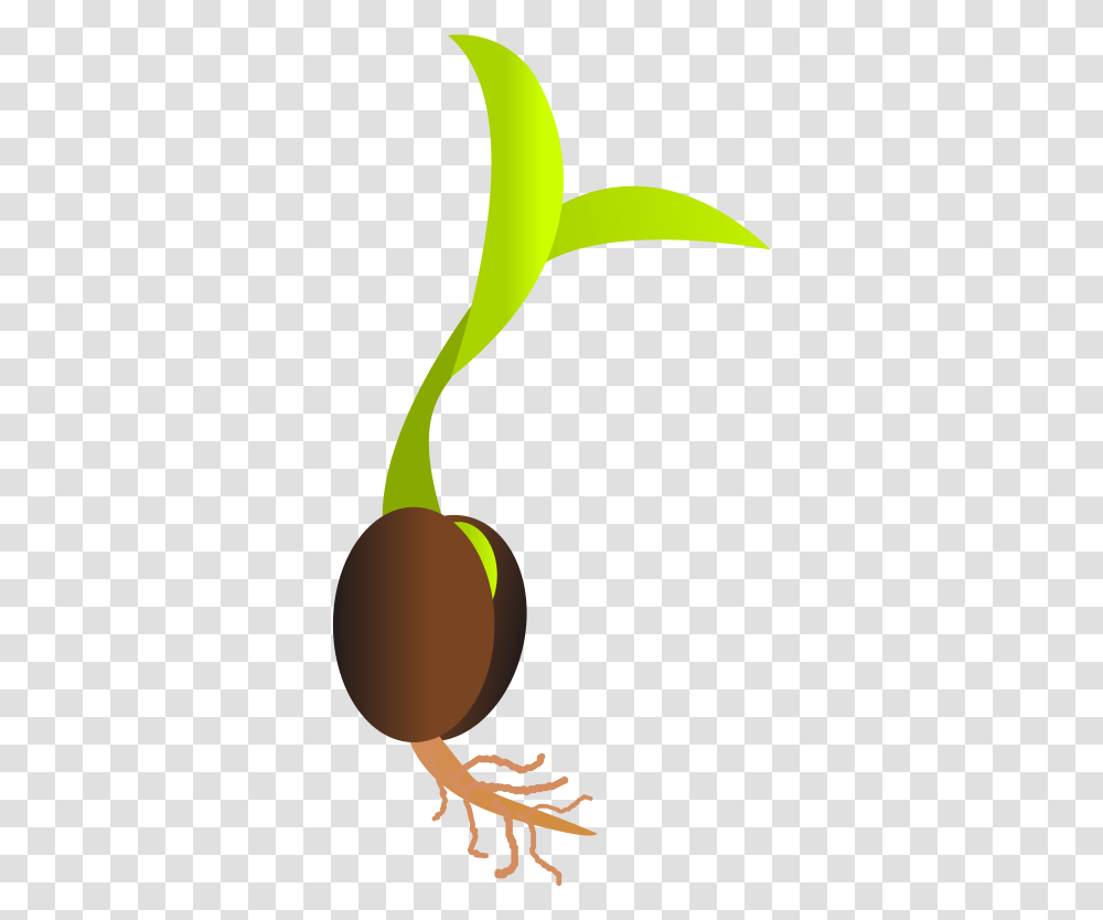 Seedling Clipart Mustard Seed Seed, Plant, Fruit, Food, Cherry Transparent Png
