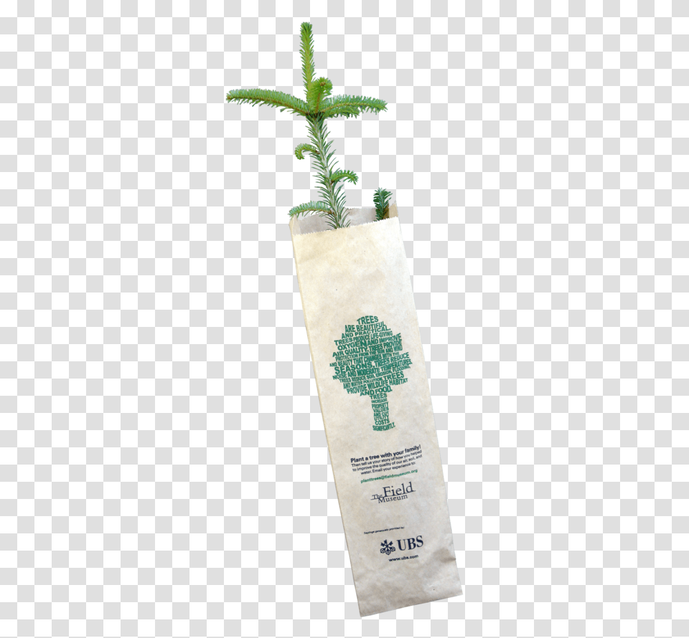 Seedling Craft, Bottle, Plant, Jar, Art Transparent Png
