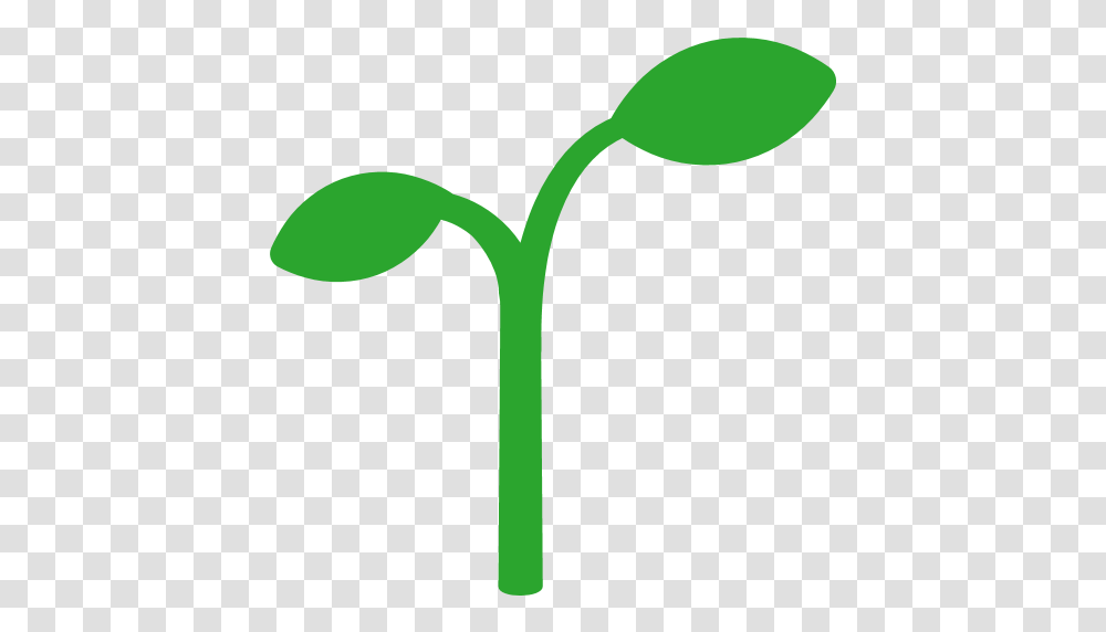 Seedling, Green, Plant, Leaf, Sprout Transparent Png