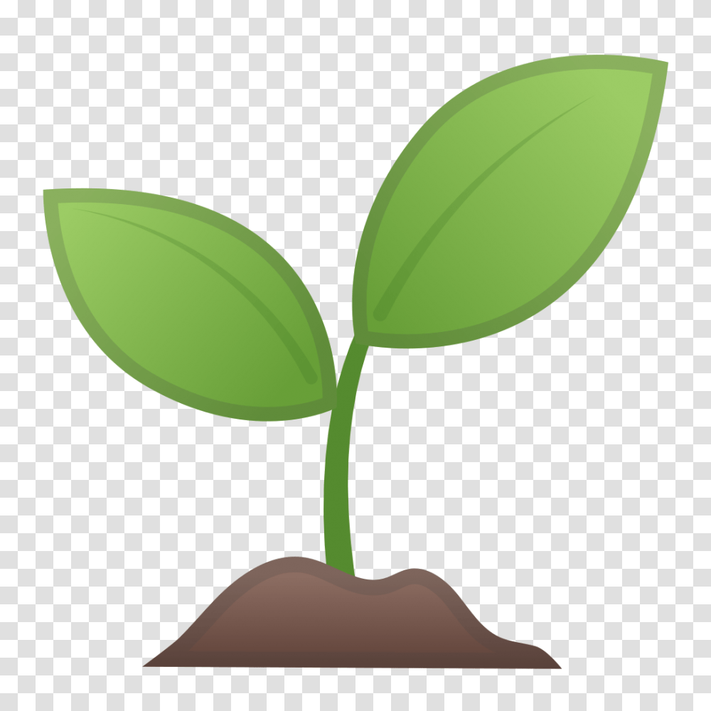 Seedling Icon Noto Emoji Animals Nature Iconset Google, Plant, Lamp, Sprout, Bud Transparent Png