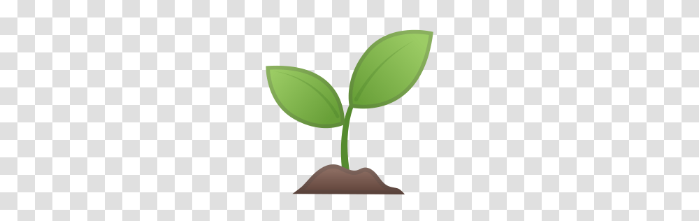 Seedling Icon Noto Emoji Animals Nature Iconset Google, Plant, Sprout, Balloon, Leaf Transparent Png