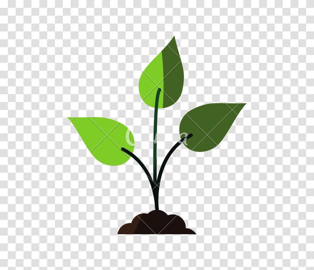 Seedling Plant Icon Image, Leaf, Flower, Blossom Transparent Png
