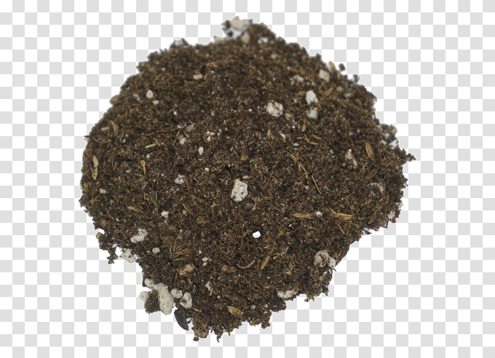 Seedling SoilClass Lazyload Lazyload Fade In Cloudzoom Rolling Tobacco, Rock, Mineral, Fungus, Pineapple Transparent Png