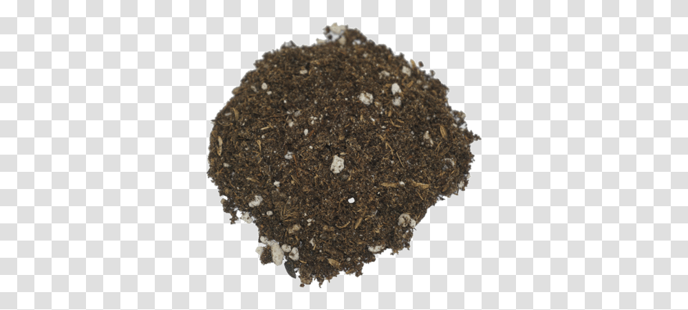 Seedling SoilClass Lazyload Lazyload Fade In Cloudzoom Soil, Rock, Fungus, Mineral, Fossil Transparent Png