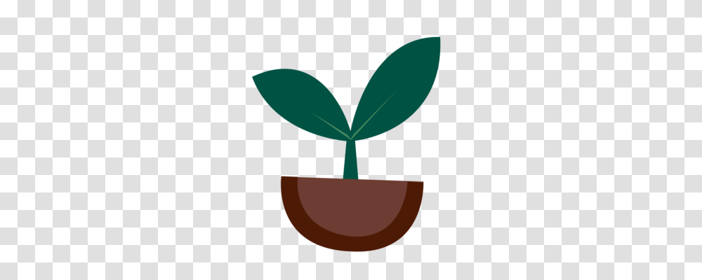 Seedling Sowing Soil Sprouting, Plant, Bud, Flower, Blossom Transparent Png