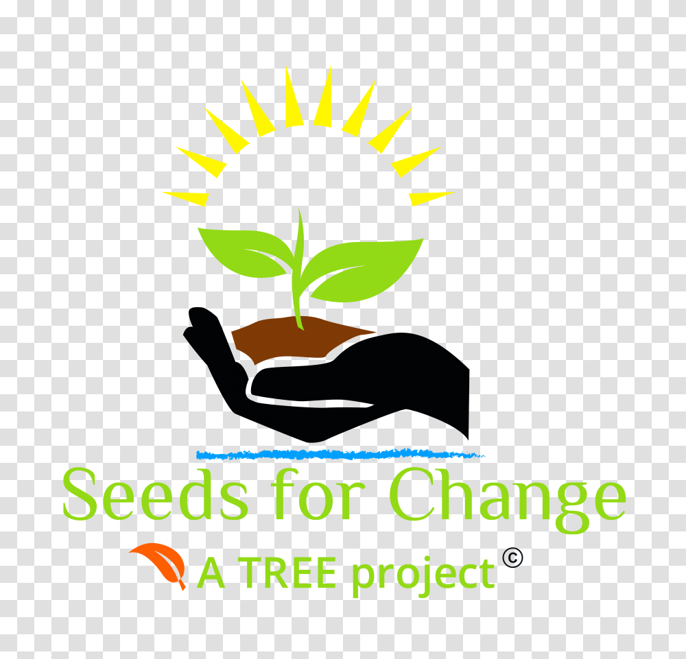 Seeds For Change An Environmental Justice Program, Plant Transparent Png