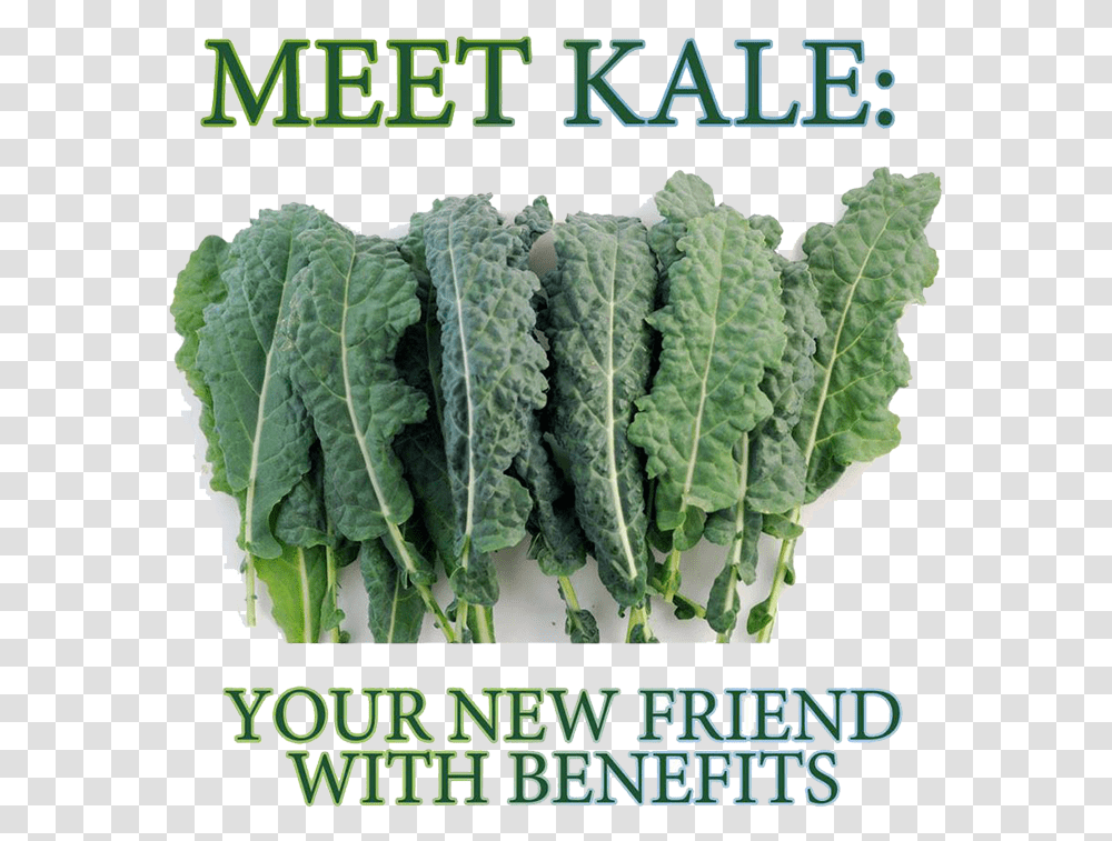 Seeds Lacinto Kale Download Kale Is Disgusting, Cabbage, Vegetable, Plant, Food Transparent Png