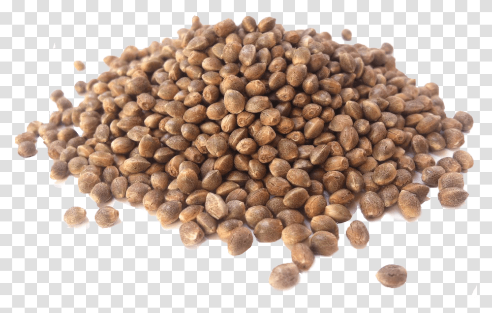 Seeds, Plant, Produce, Food, Vegetable Transparent Png