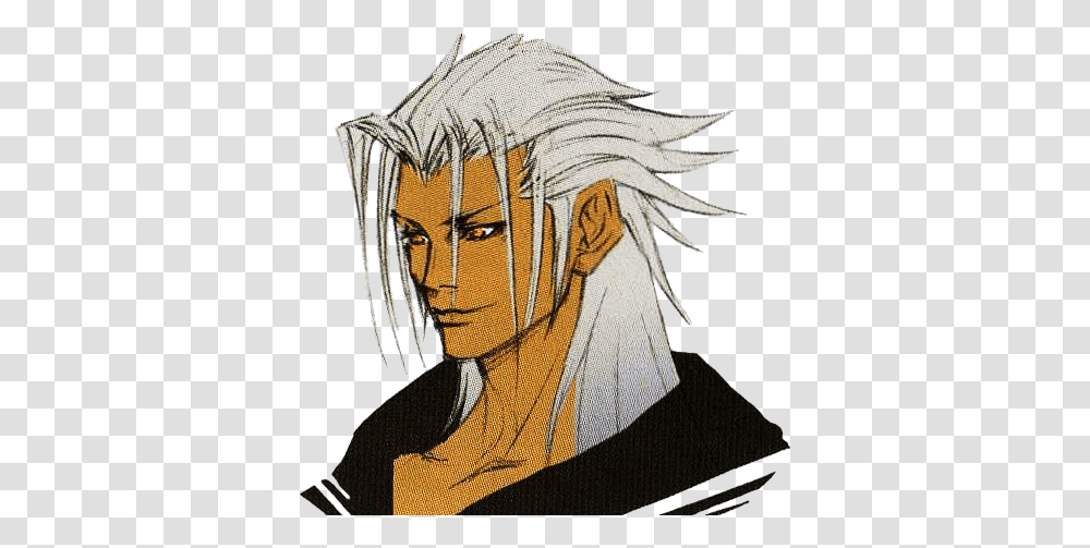 Seekers Of Dorkness An Introduction To Xehanort - Part I Kingdom Hearts Xemnas, Person, Human, Drawing, Book Transparent Png