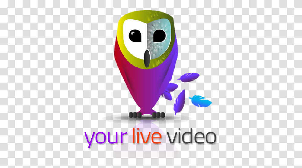 Seeume Your Live Video Camera Soft, Animal, Penguin, Bird, Graphics Transparent Png