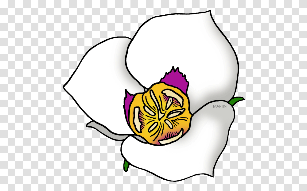 Sego Lily Clipart Utah State Flower Clipart, Plant, Blossom, Petal, Orchid Transparent Png