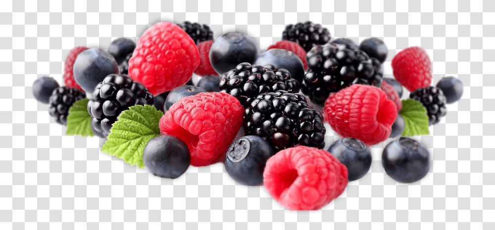 Select Fruits Mixed Berries, Raspberry, Plant, Food, Blueberry Transparent Png