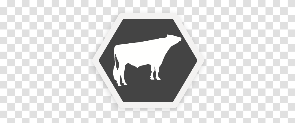 Select Sires Cow, Symbol, Rug, Animal, Mammal Transparent Png