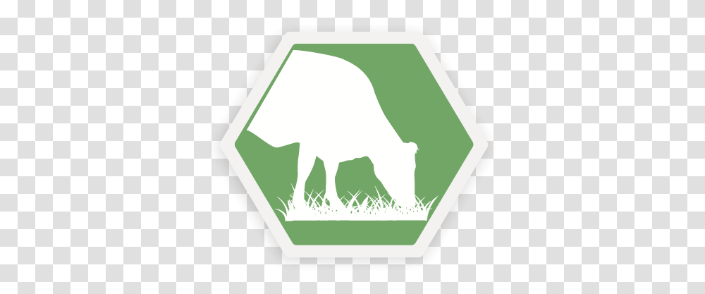 Select Sires Language, Symbol, Animal, Mammal, Recycling Symbol Transparent Png