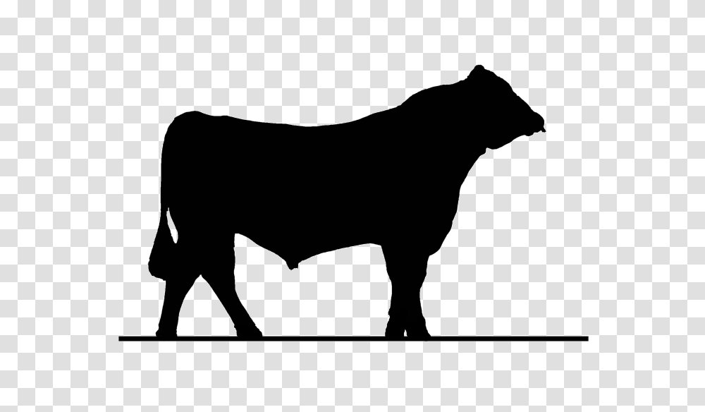 Select Sires Value, Bull, Mammal, Animal, Silhouette Transparent Png