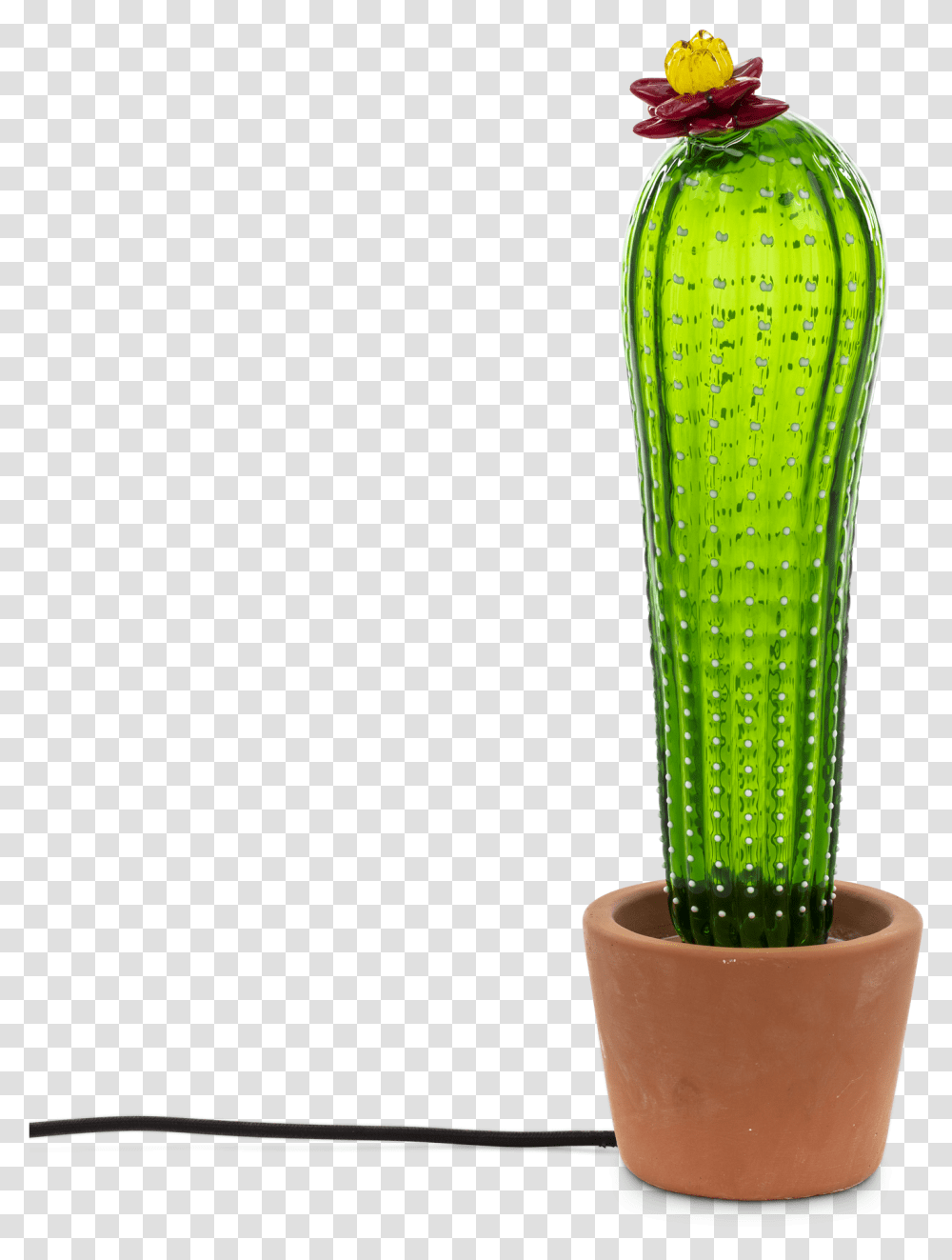 Seletti Cactus, Plant, Vase, Jar, Pottery Transparent Png