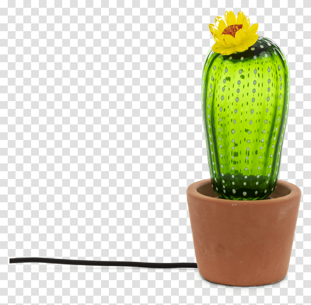 Seletti Cactus Table Lamp Seletti Cactus Lamp, Plant Transparent Png
