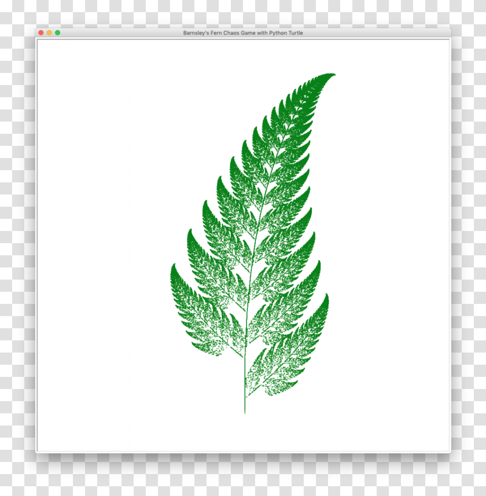 Self Similarity, Leaf, Plant, Green, Pineapple Transparent Png