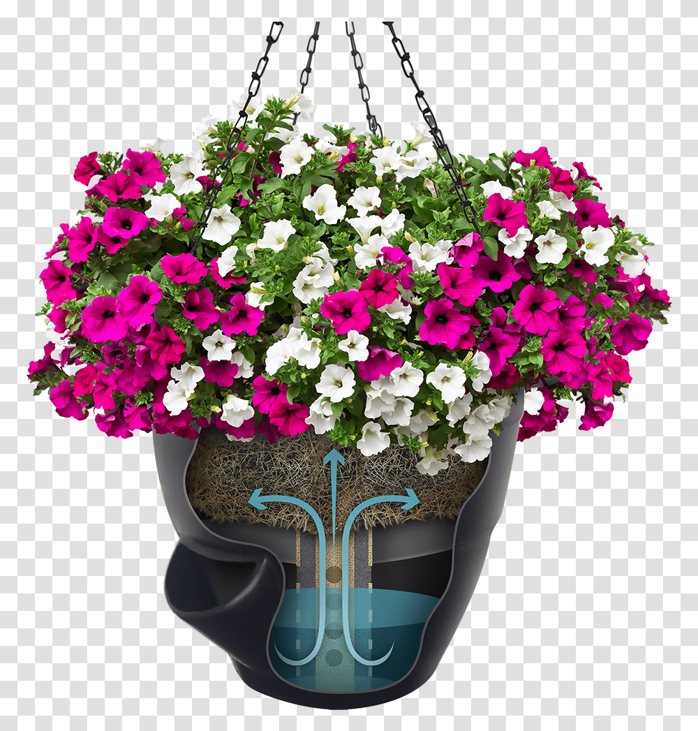 Self Watering Hanging Baskets Purple, Plant, Flower, Blossom, Flower Arrangement Transparent Png