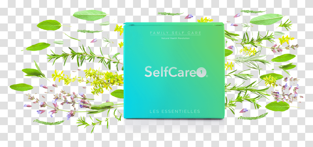 Selfcare, Plant, File Binder, File Folder Transparent Png