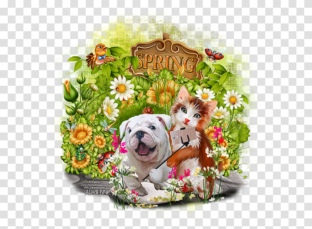 Selfiehello Spring West Highland White Terrier, Bulldog, Pet, Canine, Animal Transparent Png