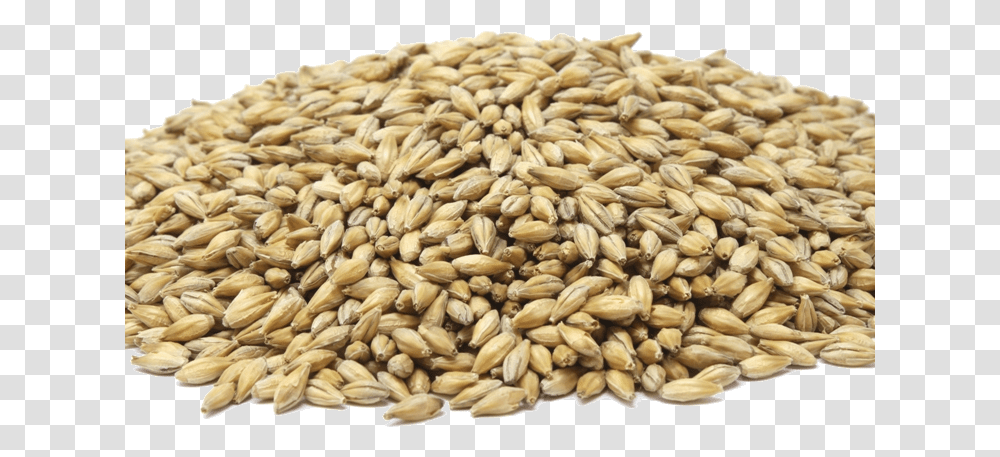 Semyan, Plant, Wheat, Vegetable, Food Transparent Png