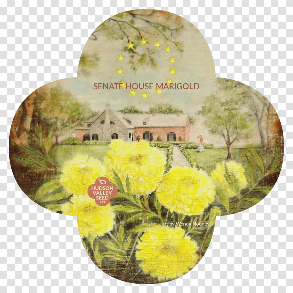 Senat House Marigold Quatrefoil Headstone, Plant, Bush, Vegetation, Flower Transparent Png