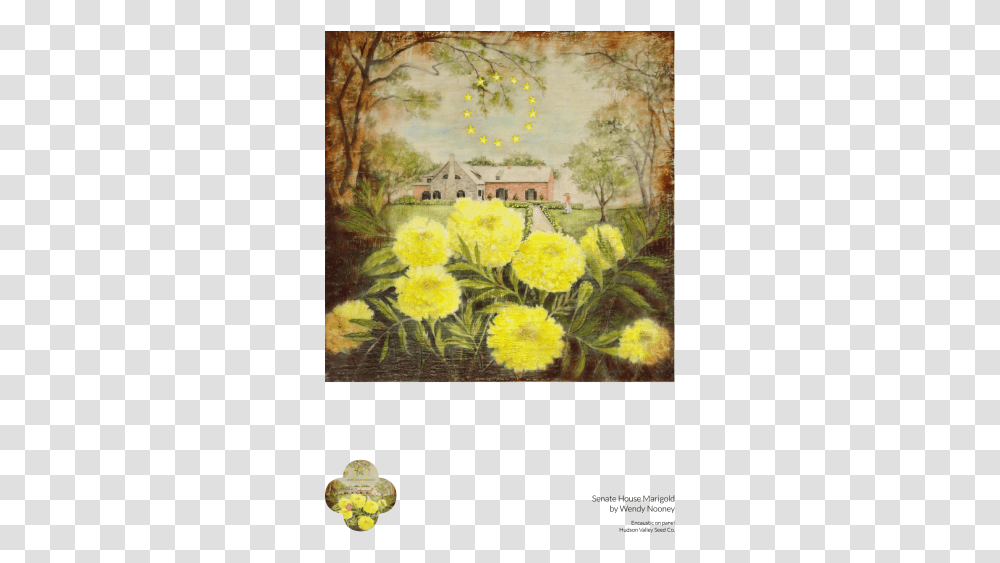 Senate House Marigold Fine Art Poster Large Flowered Evening Primrose, Painting, Plant, Blossom, Cottage Transparent Png