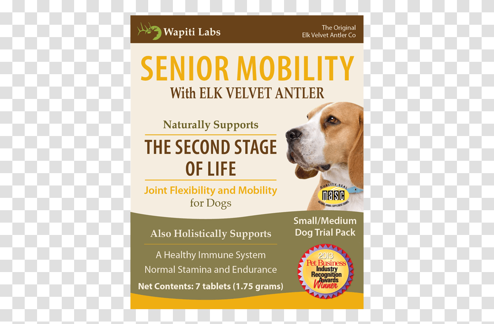 Senior Mobility For Dogs Companion Dog, Flyer, Poster, Paper, Advertisement Transparent Png