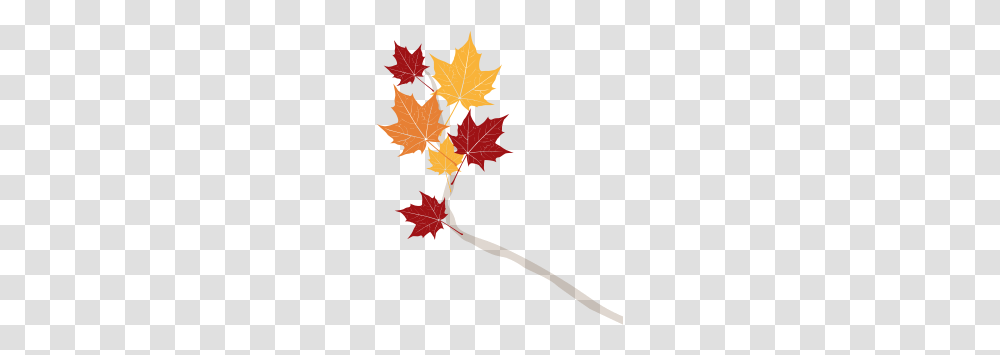 Senses Of Autumn, Leaf, Plant, Tree, Maple Leaf Transparent Png