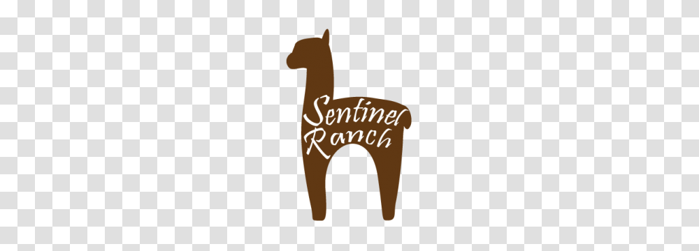 Sentinel Ranch Alpacas Bozeman Cvb, Animal, Outdoors, Bird Transparent Png