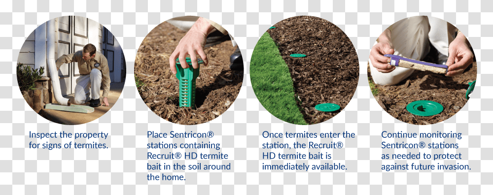 Sentricon Termite Control 4 Step Plantation, Person, Soil, Outdoors, Planting Transparent Png