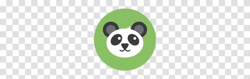 Seo Panda Icon Seo Iconset The Hoth, Plant, Logo, Food Transparent Png