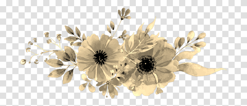 Sepia Flowers Aesthetic African Daisy, Floral Design, Pattern Transparent Png
